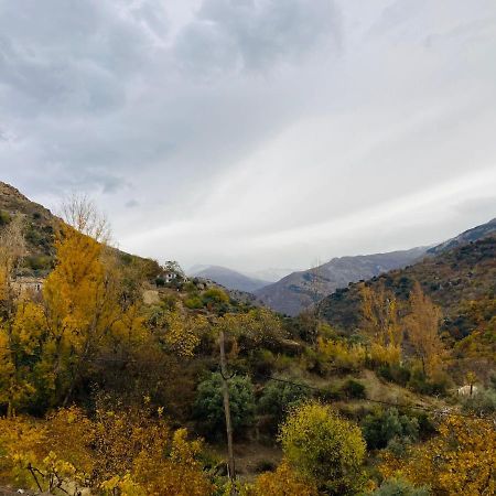 El Hogar De Mercedes Guejar-Sierra Bagian luar foto
