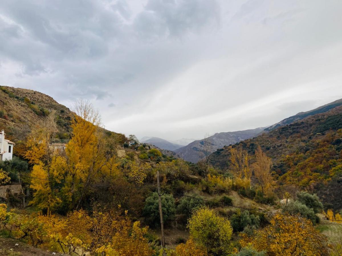 El Hogar De Mercedes Guejar-Sierra Bagian luar foto